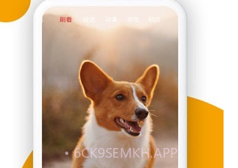 小狗看看v1.0.0.7截图