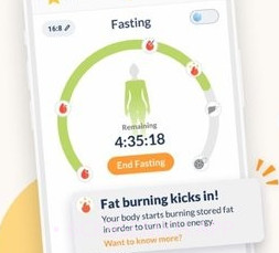 Fasticv1.100.5截图