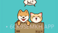 petnfans宠物社交v3.4.8截图