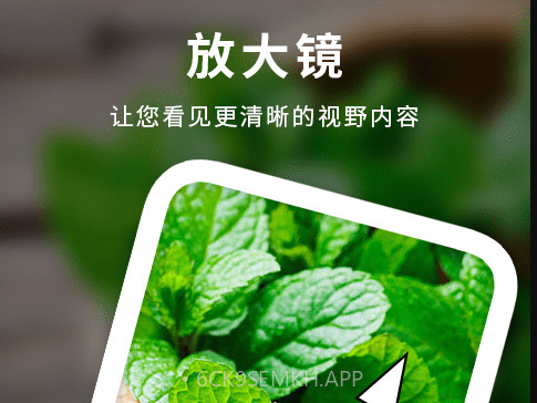 天天图文放大镜v1.11截图