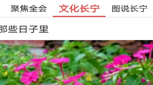 掌上长宁v4.3.13截图