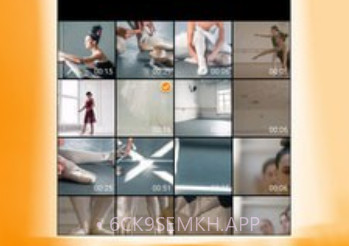 VideoStabilizerv1.1.6截图