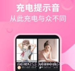 充电提示音管家v1.0.11截图