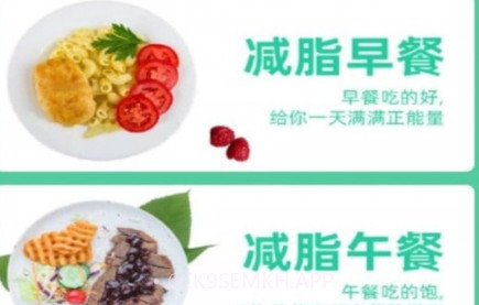 莱盛v1.13截图