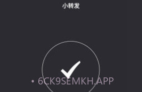 小转发V2.6截图