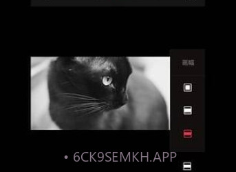 VUEv1.7截图