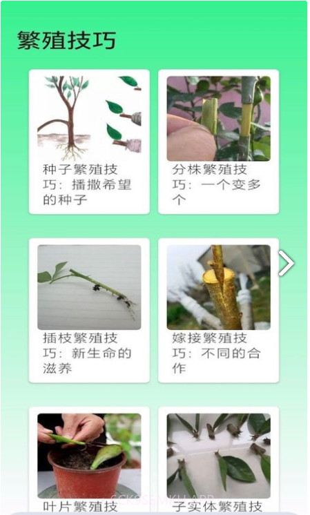 果园管家1.0.5截图