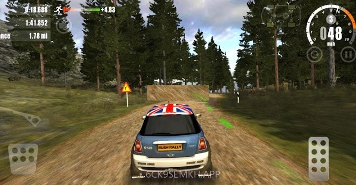 DIRT Rally Rushv2.01.4截图