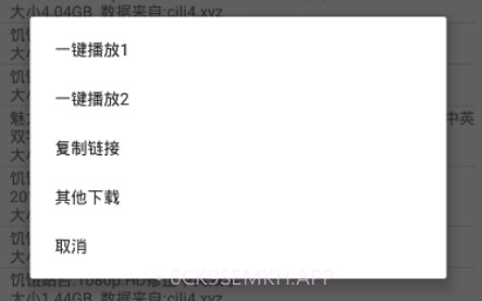 比特舟pro鐎瑰宕渧1.10截图