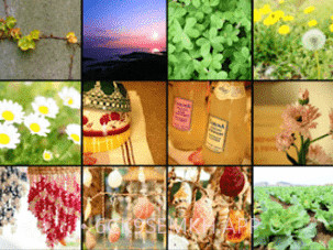 OLYMPUS Image Sharev2.5截图