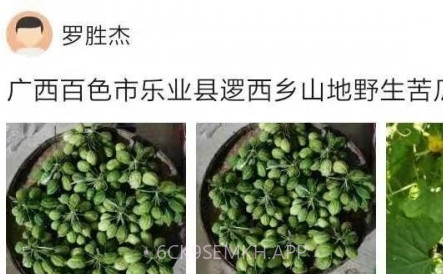 助农通v1.0.13截图