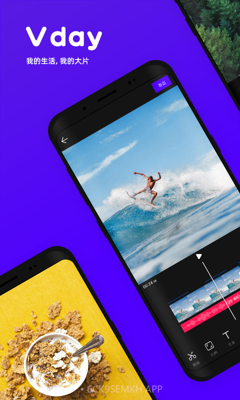 VDAYv1.8.10截图