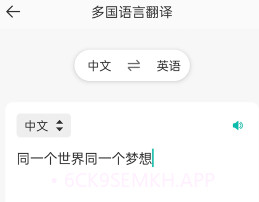 万能翻译器v1.1.6截图