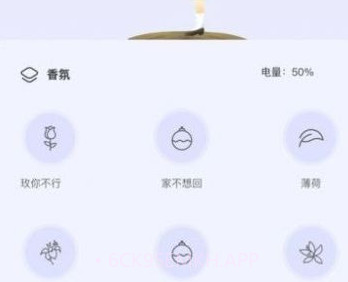 气味王国v1.0.5截图