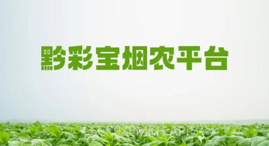 黔彩宝烟农平台v1.1.10截图