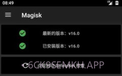 Magisk软件v26.5截图