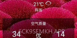 Sorgs天气v5.6截图