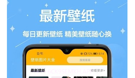 主题壁纸君v1.0.13截图