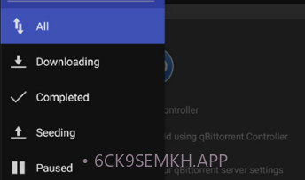qbittorrent手机版v3.9.9截图