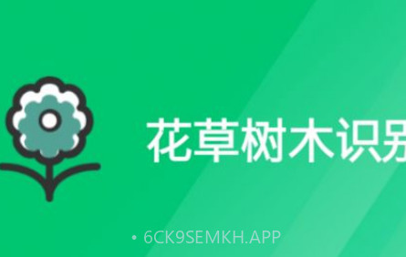 好用拍照识别v1.0.13截图