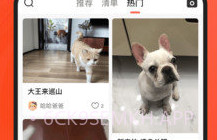 宠小帮(养宠服务)V2.0.7截图