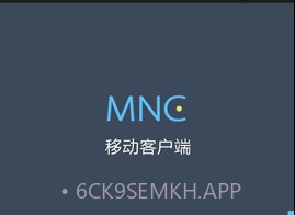 MobileNVR Clientv2.4.8截图