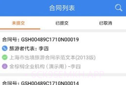 金棕榈钥签v1.0.7截图