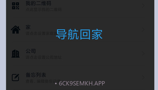 驾车助手v2.0.8截图