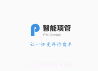 智能项管v1.13.7截图
