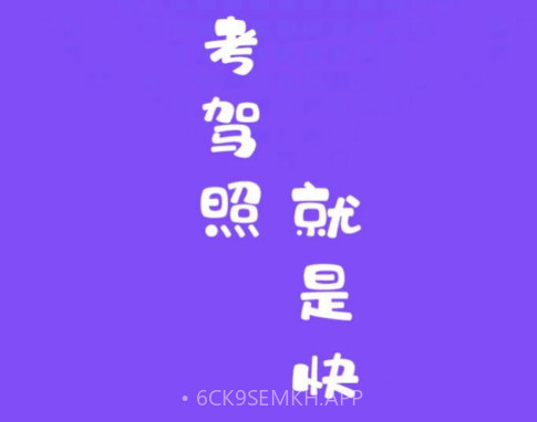 练车模拟题v1.14截图