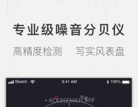 安心分贝仪v1.1.12截图