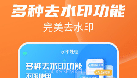 去水印管家v1.0.11截图