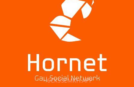 Hornetv1.0.4截图