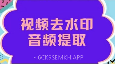 无水印视频v3.13截图