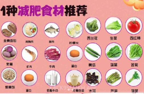 菜谱记录v1.17截图