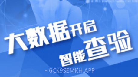 查验智库v2.4.12截图