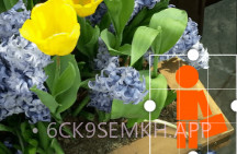 GIF工作室v2.8截图