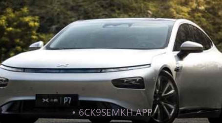 唯众车博v9 鐎瑰宕渧1.10截图