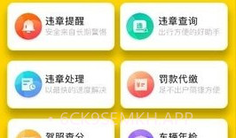 12121违章查询V1.0.8截图