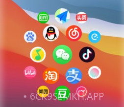 万能小组件topwidgetsv2.8.9截图
