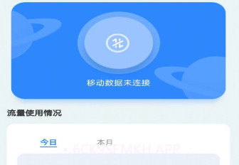 绿叶流量v3.8.4.5截图