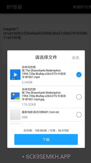 bt恒星3.0.13截图
