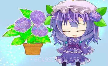 双叶桌面v1.7截图