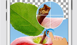 magiceraserV12.9截图