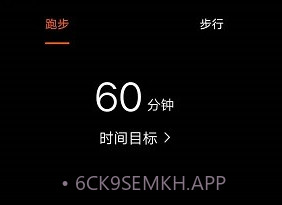SZOSv1.0.5截图
