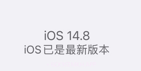 iOS14.8正式版v1.7截图