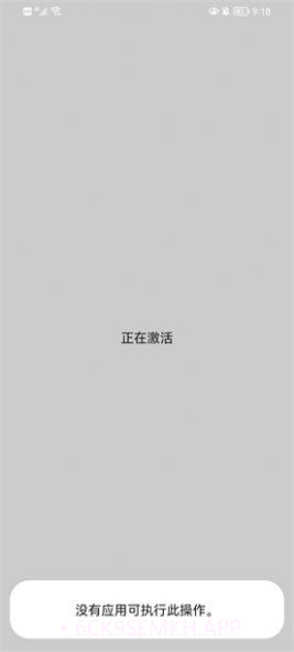 vivo主题降级1.3.4截图