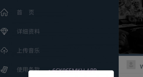 mp造浪v2.0.13截图