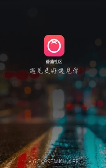 番茄聊天1.2.4截图