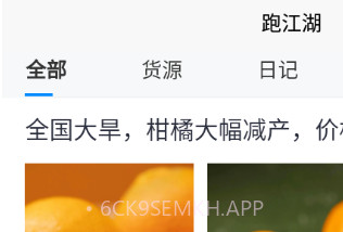 圩日表v2.1.7截图